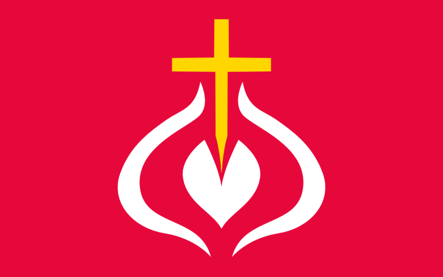 cebulowa_flaga_2.png