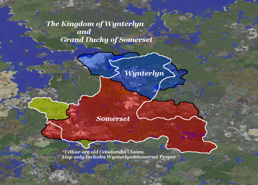 wynand_som.png
