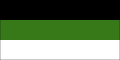 shakonov_flag.png