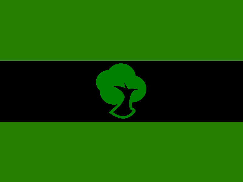 флаг_чернолесовска_с_гербом2.png