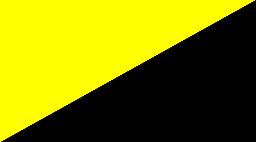 2000px-anarcho-capitalist_flag.svg.png