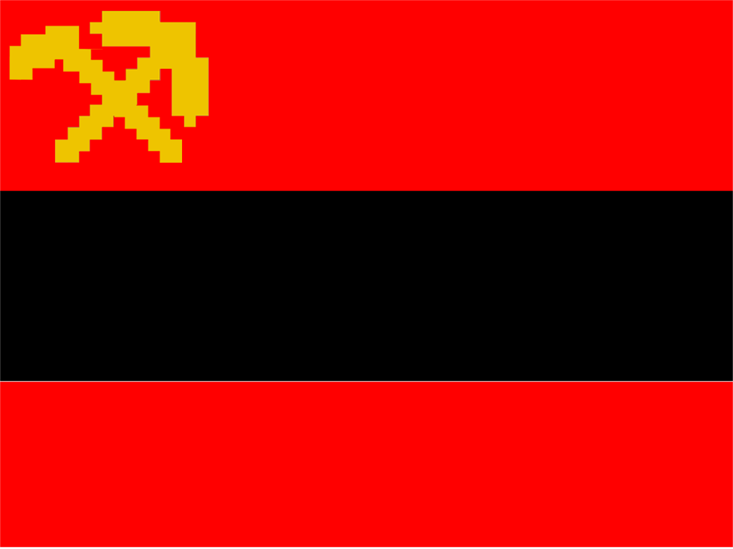 asnr.png