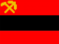 asnr.png