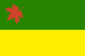 midori_flag.png