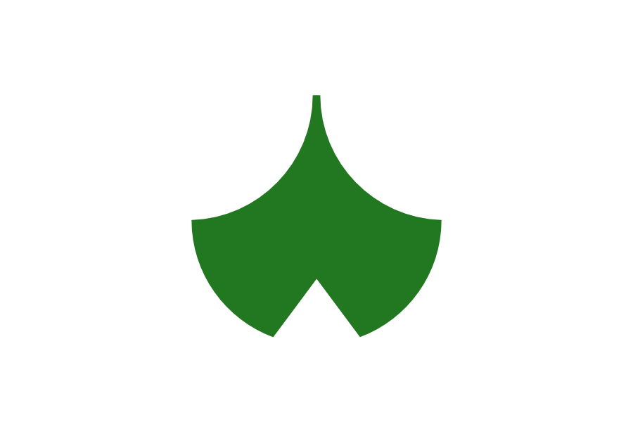 newaspergiaflag.png