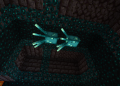 deep_squids.png
