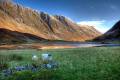 sheep_in_glencoe.jpg
